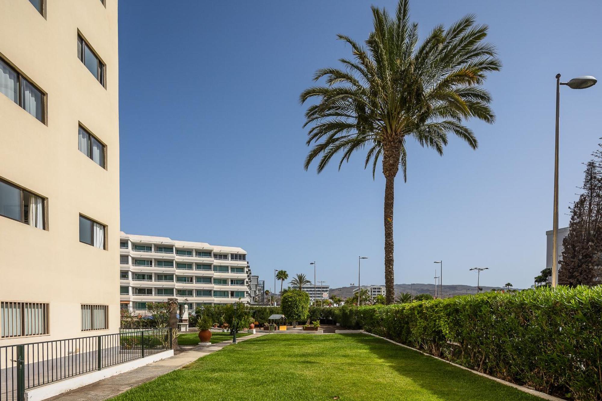 Los Ficus Playa del Inglés Exterior foto